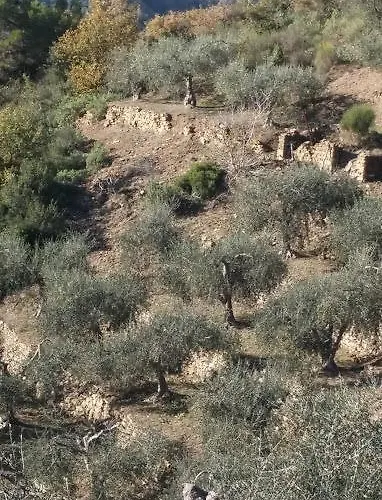 Da Giua' 3* Apricale